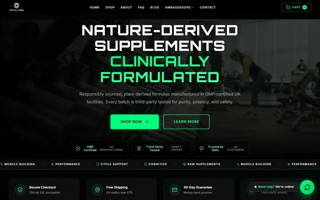 Max Labs homepage